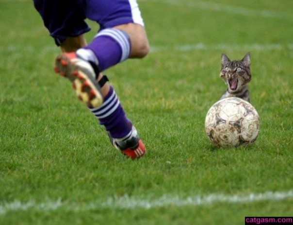 №42, Коля Бурико, Никополь №42, Коля Бурико, Никополь