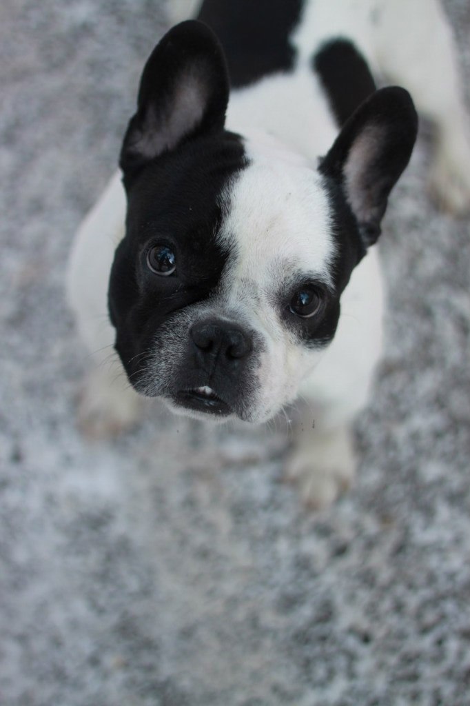 Иван Наумов | Тюмень