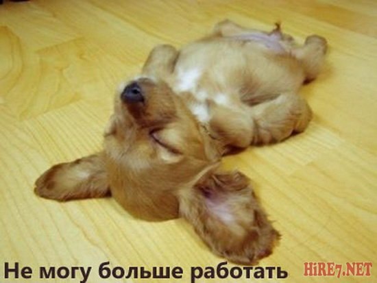 Галина Амосова | Киев