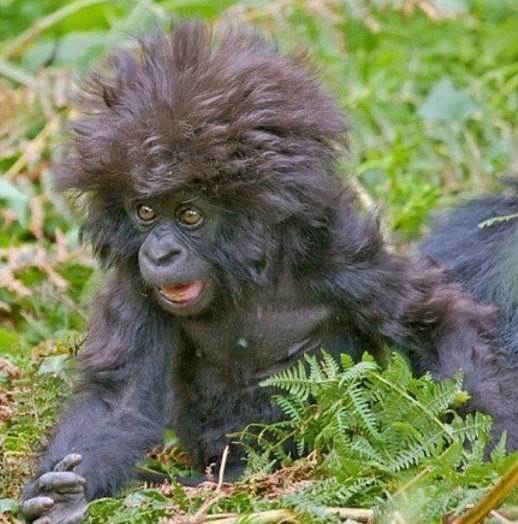 Михаил Безруких | Красноярск