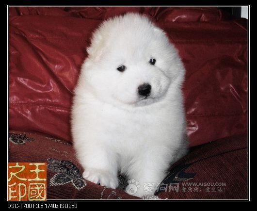 №23, Kaijun Zheng, 34 года, Минск №23, Kaijun Zheng, 34 года, Минск