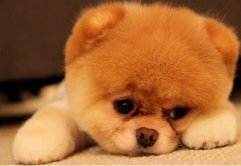 Катерина Ревунова | Киев