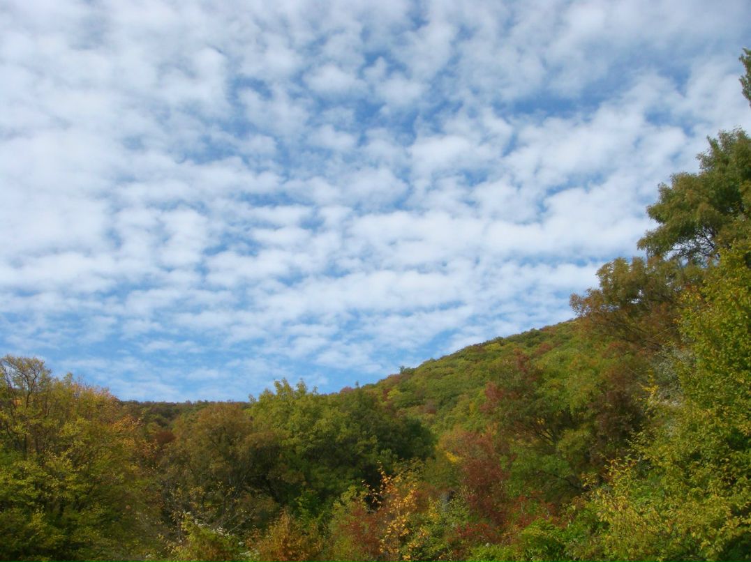 Петр Чебадухин | Москва