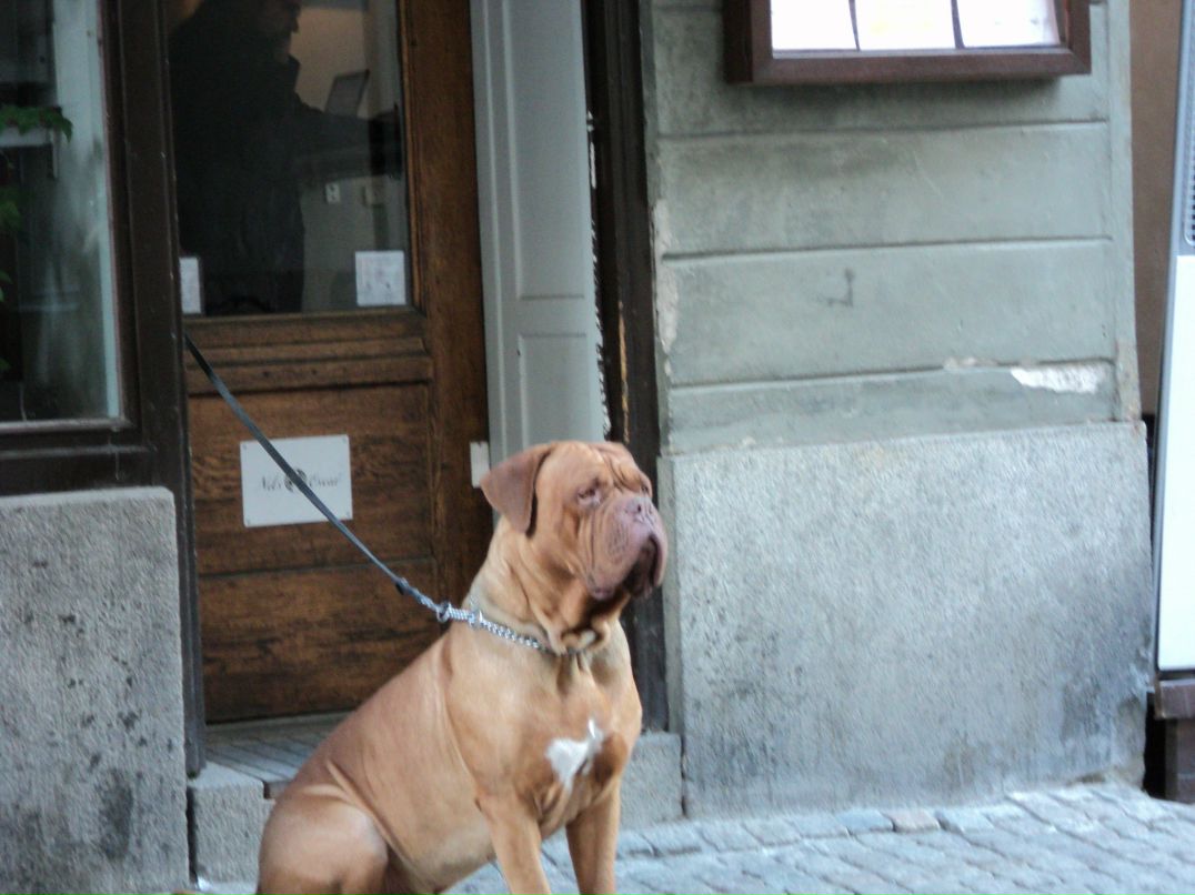 Галина Никонова-Притчиева | Петрозаводск