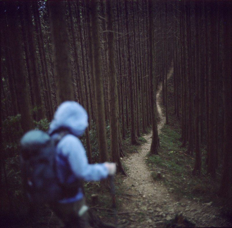 Максим Андреев | Санкт-Петербург