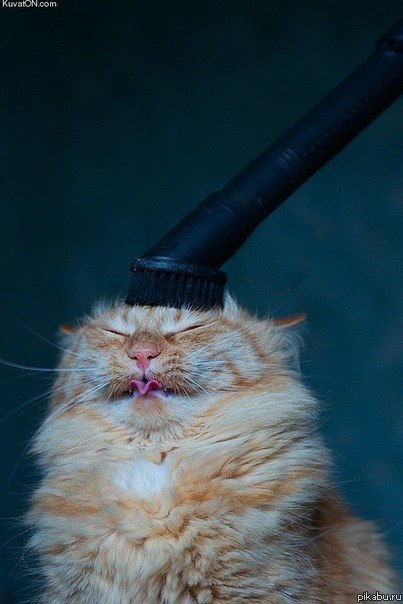 Тарас Сосєдка GrandMaster | Киев