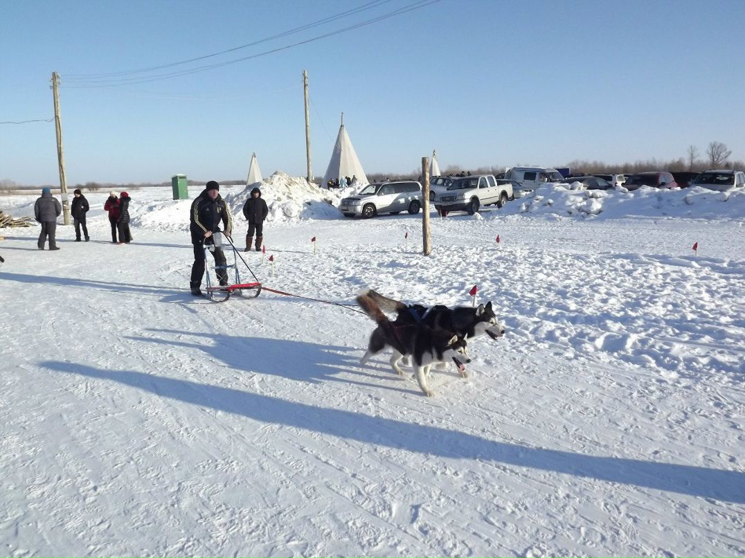Олег Госедло | Нижневартовск