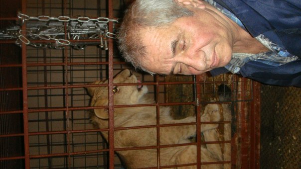 №51, Евгений Васильев №51, Евгений Васильев