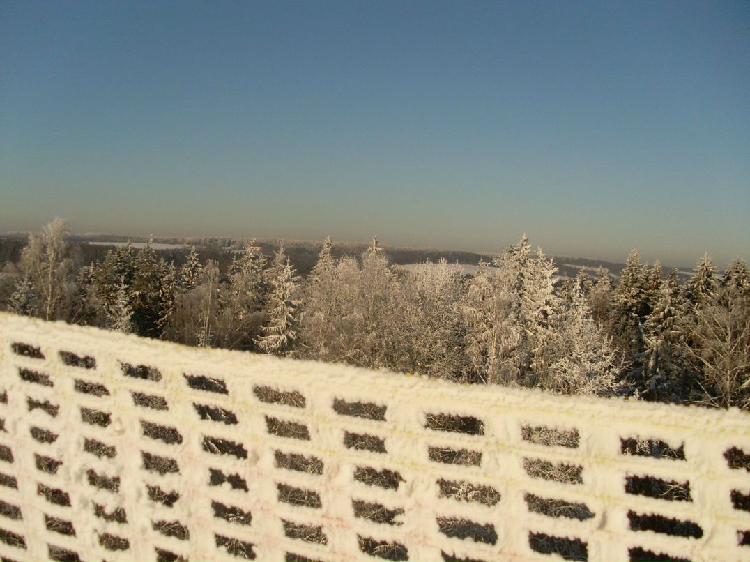 Александр Устиненко Seabisquit | Новополоцк