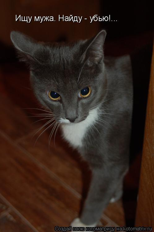 Марина Брикунова | Сланцы