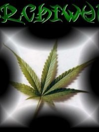 Никита Лаптев Николаевич | Верх-Каргат