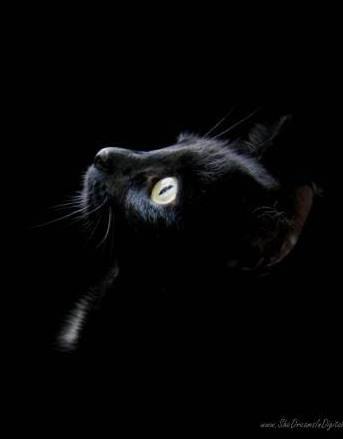 Анастасия Порох | Ухта