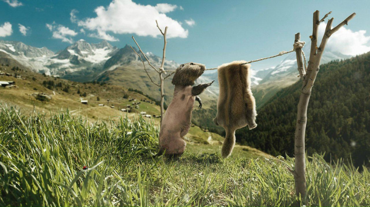 Миша Ткаченко | Харьков