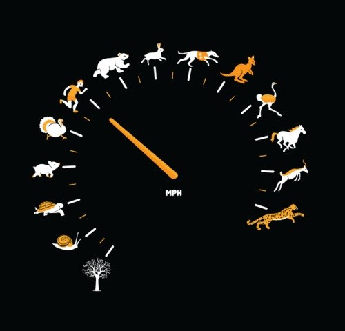 Егор Степанов | Рыбинск