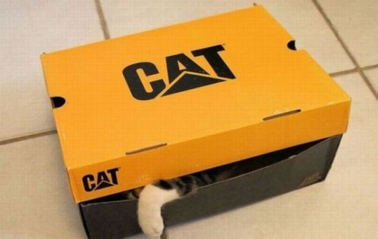 Виталий Пилюк -=ТОС=- | Краснодар