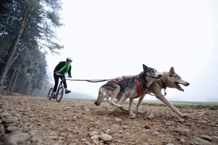 Денис Иванов | Волгоград