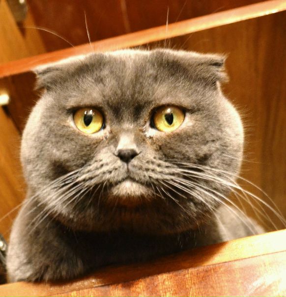 №24, Алина Сафонова, Киев №24, Алина Сафонова, Киев