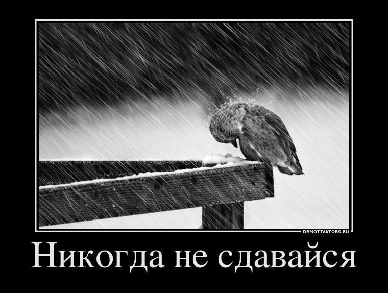 Дмитрий Семиглазов lk2d | Балашиха