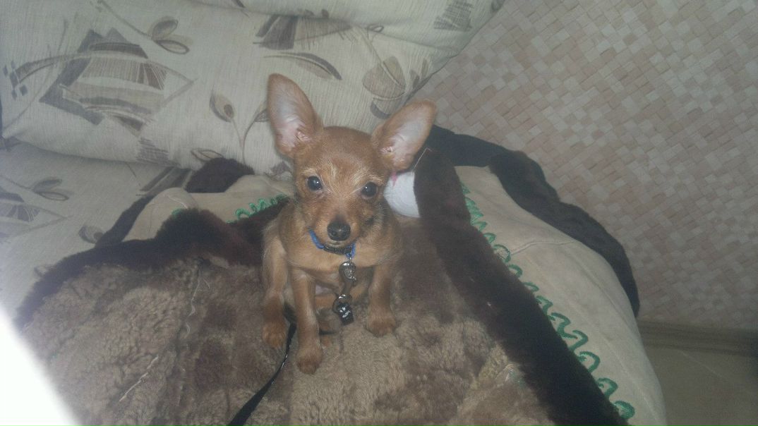 №1, Татьяна Груненышева, Москва №1, Татьяна Груненышева, Москва