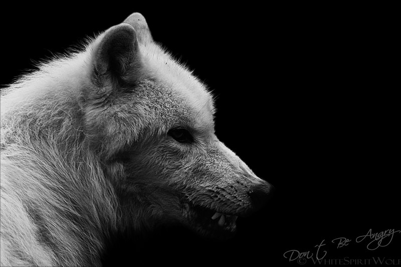 Andreyko Popcorn ॐ सनशाइन ॐ | Москва