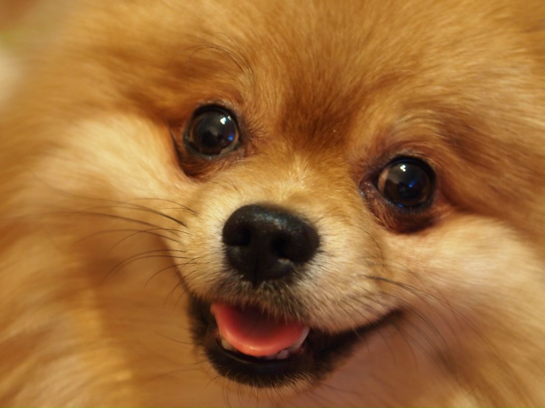 Иван Шкарупин | Москва