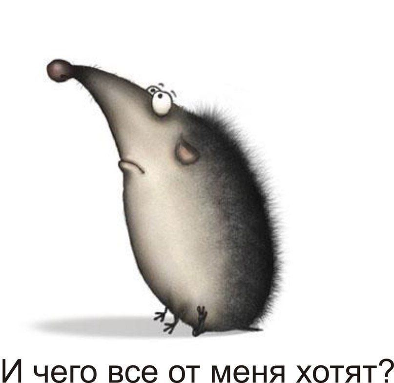 Ольга Иванова | Калининград