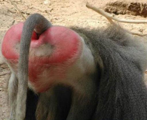 Олег Юрыч (©)(©) | 