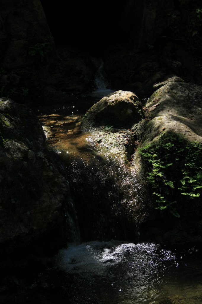 Ronald Shipitsyn | Беэр Шева