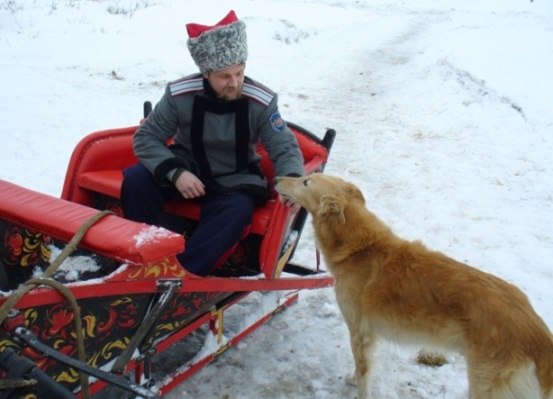 Сергей Тертычный | 