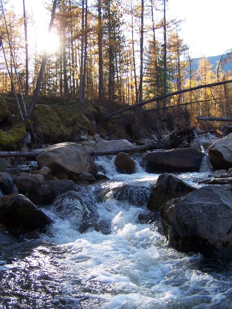 Павел Серкин | Кумора