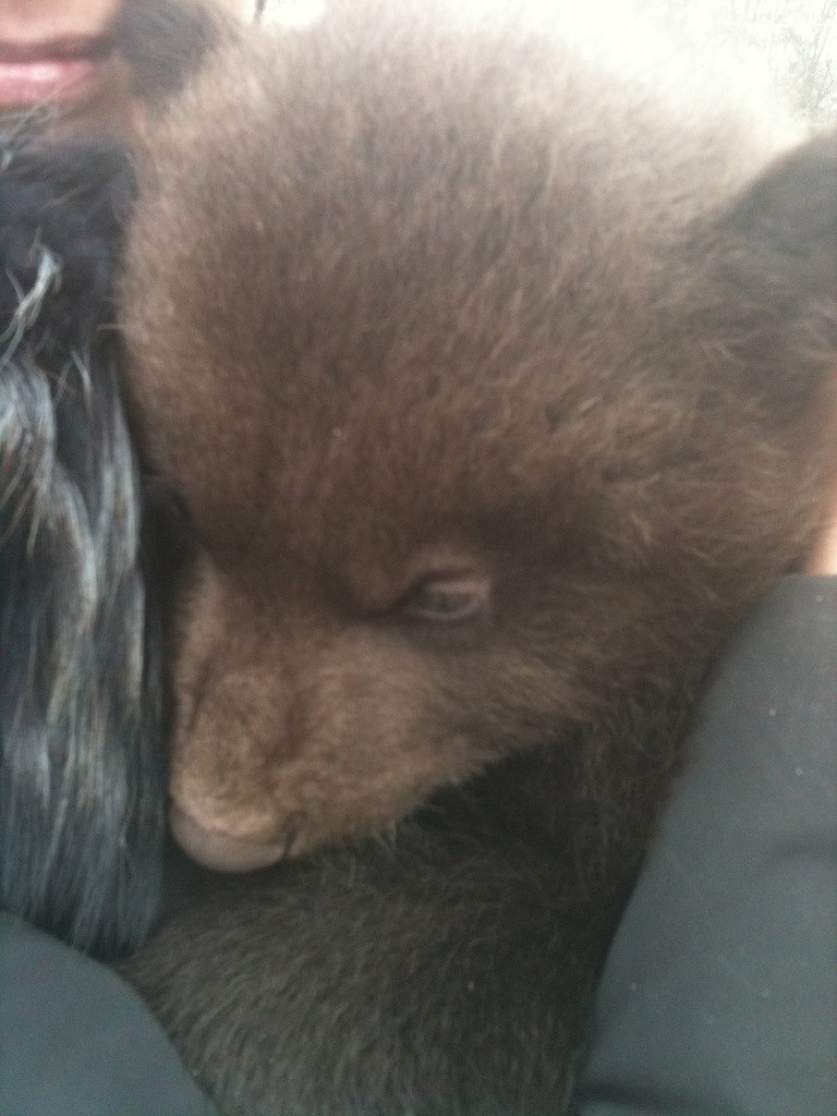 Виктория Салий | Харьков