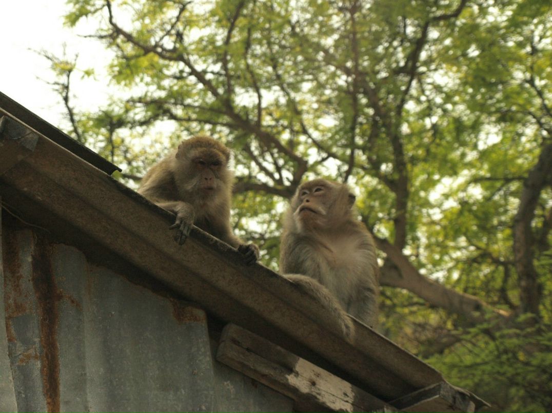 Светлана Макарова-Мельник | Домодедово