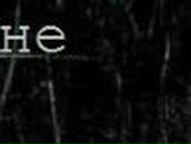 Александр Зубков | Москва