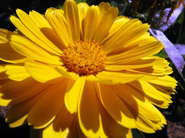 №20, Екатерина Осипова, Москва №20, Екатерина Осипова, Москва