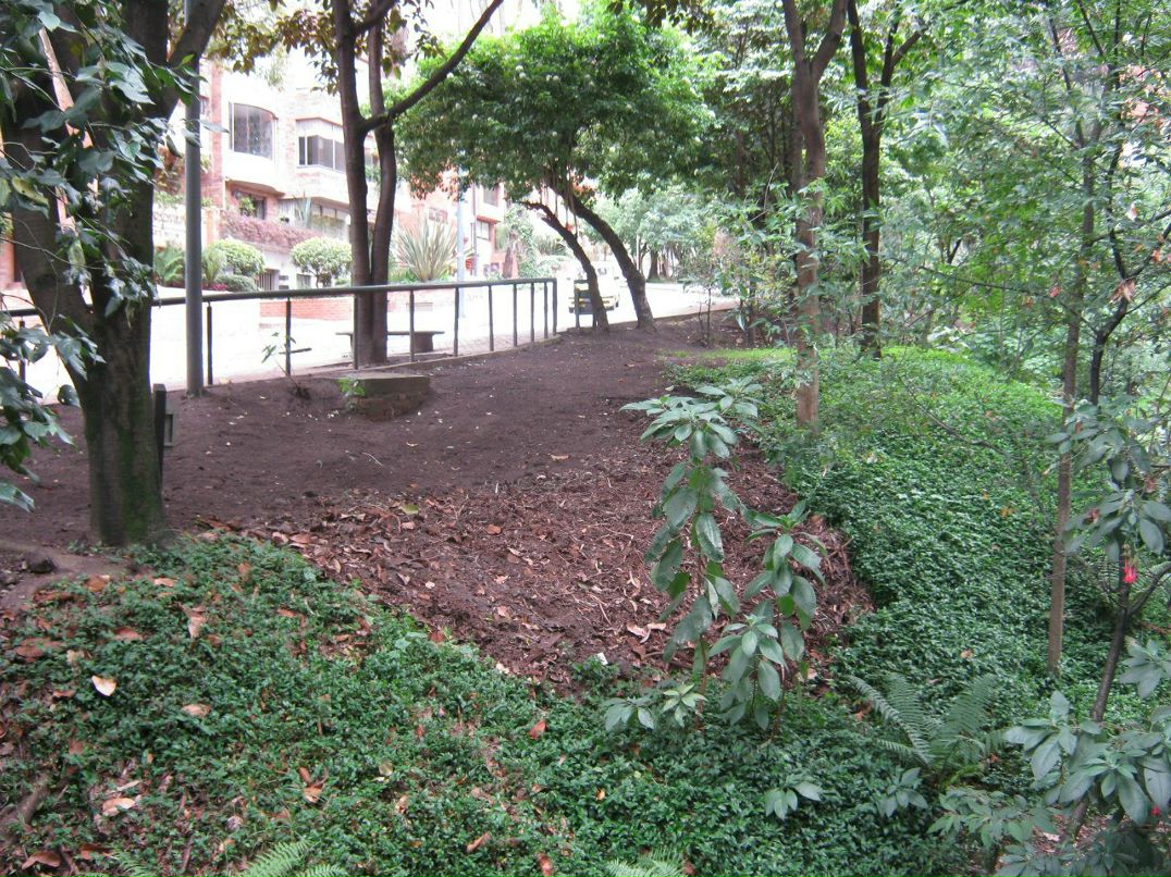 Алексей Шапин | Luleå