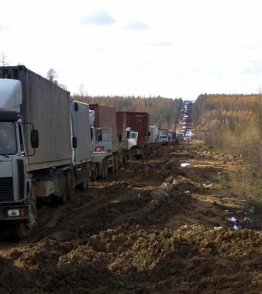 Даниил Колесников | Санкт-Петербург