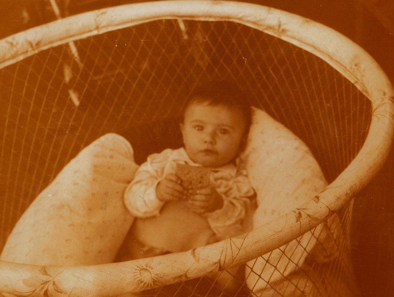 Макс Щербак | Бровары