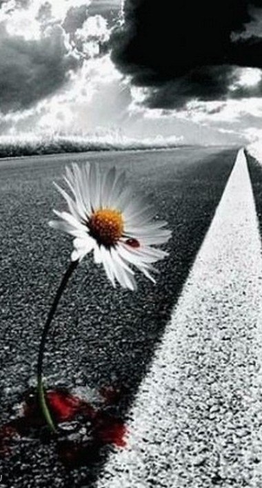 Дмитрий Добряк Александрович | Харьков