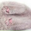 Елена Лисичкина | Шахтерск