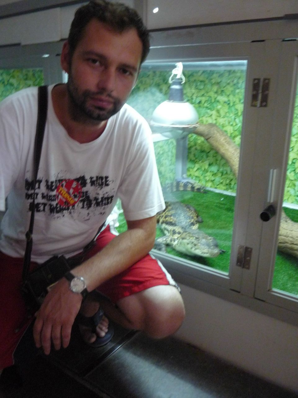 Дмитрий Молдованенко | 