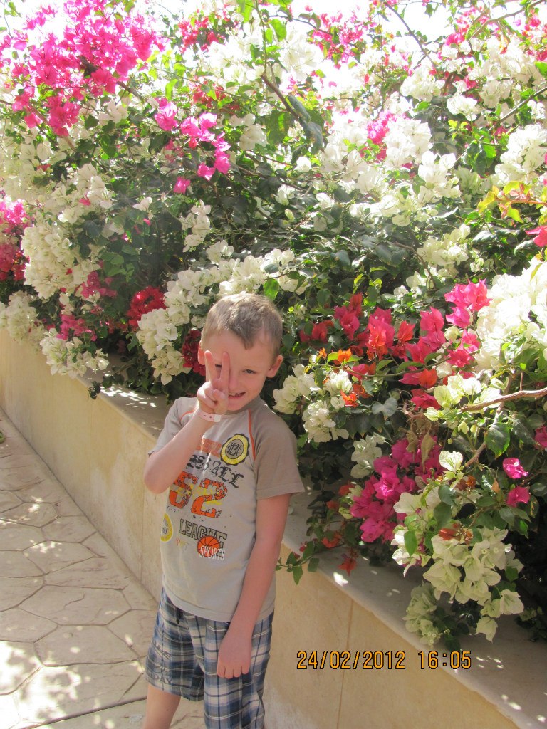 Алёна Крупнова | Ногинск