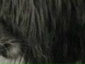 Евгения Степанова | Москва