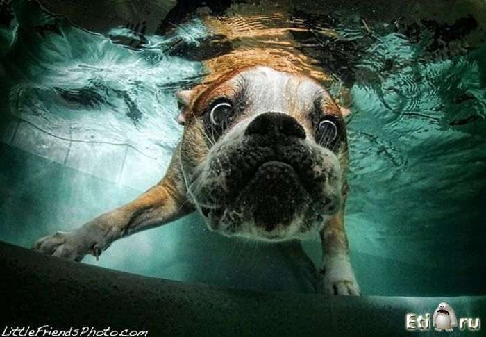 Вероника Волли Rasmusa | Петропавловск