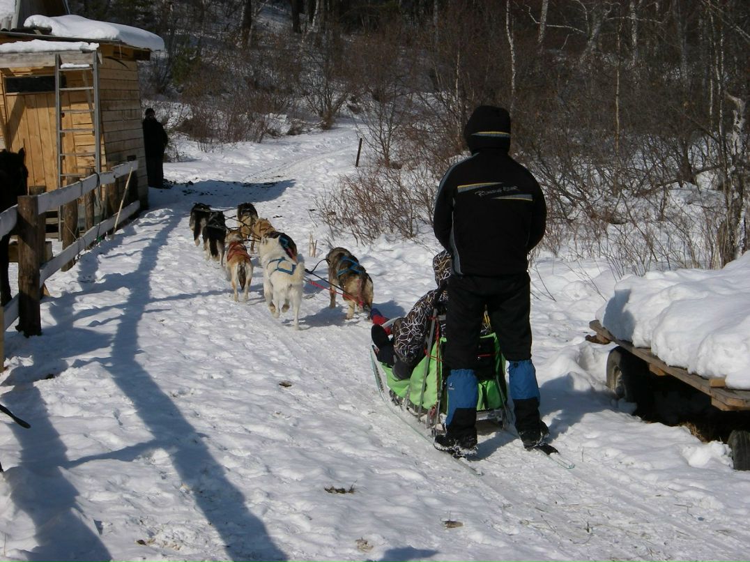 Максим Пензин maxp | Иркутск