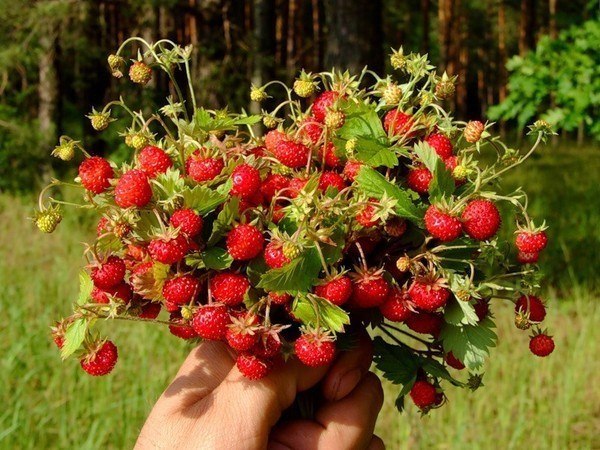 Анар Мукушева | Омск