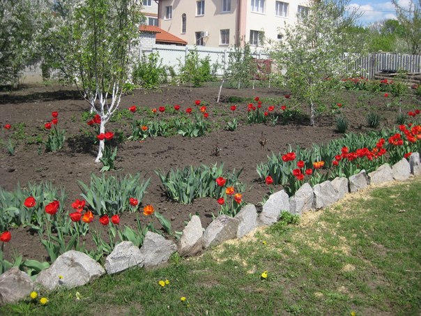 №51, Влад Ковалев, 29 лет №51, Влад Ковалев, 29 лет