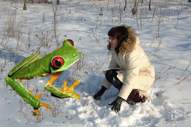 Татьяна Громович | Киев