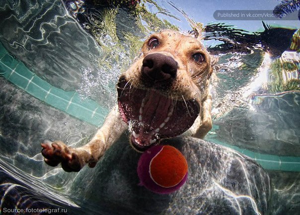 Коля Смирновъ | 