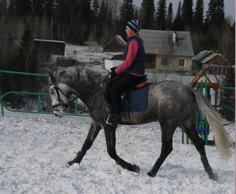 Алёна Савина | Березовский