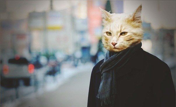 Андрей Богданов Buget | Москва